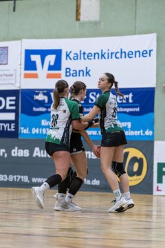 Bild 113 - wBJ SV Henstedt Ulzburg - TuRa Meldorf : Ergebnis: 22:38